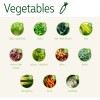 Seedstick 10 Packs Vegetables
